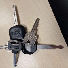 キーホルダー がiLostで Gemeente Roermond によって報告されました