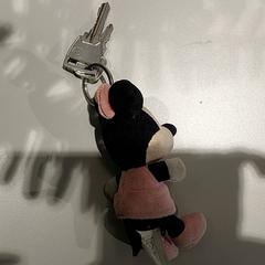 Clé, a été signalé par Centraal magazijn utilisant iLost