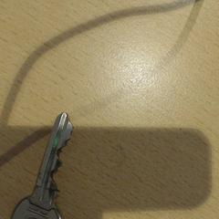 Schlüsselanhänger, gemeldet von Walibi Holland über iLost