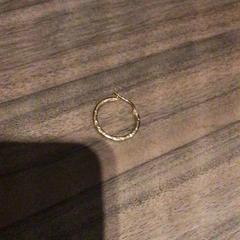 Pendiente Goudkleurig, ha sido reportado por Van der Valk Hotel Zwolle con iLost