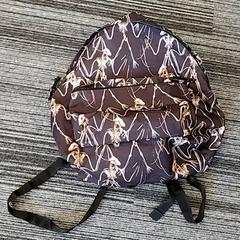 Backpack, as reported by Arriva Limburg Zuid using iLost