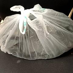 Plastpose, som rapportert av Qbuzz GD Groningen Peizerweg ved bruk av iLost