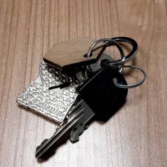 Chaveiro, como reportado por Connexxion Haarlem AML utilizando o iLost