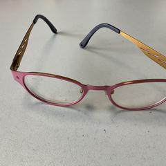 Lunettes de prescription Roze merk Nuances, a été signalé par Breng Arnhem utilisant iLost