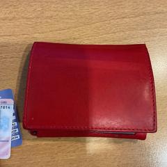 Lommebok citova, Tsjechië, som rapportert av Gemeente Amsterdam ved bruk av iLost