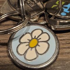 Bos sleutels, som rapporterats till iLost