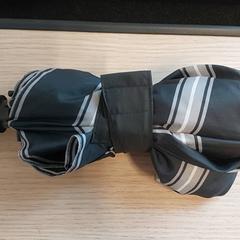 Umbrella, as reported by Regio Limburg - Leuven using iLost