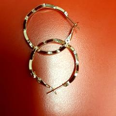 Kolczyki, zgłoszono przez UvA REC przy użyciu iLost