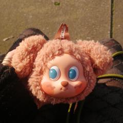 Pop Mart Twinkle Twinkle pouch (met inhoud), jak bylo nahlášeno na iLost