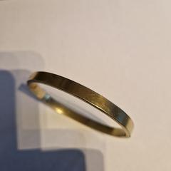 Gouden armband in Berkel en Rodenrijs, como reportado ao iLost
