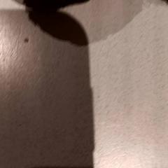 꼭 껴안고 싶은 장난감, iLost를 사용하여 De Efteling에 보고됨