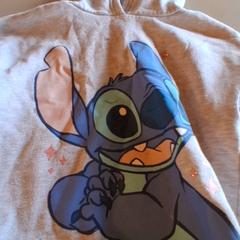Hoodie Grijs, as reported by Familiepark Drievliet using iLost