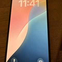 iPhone, iLost'a bildirildiği gibi