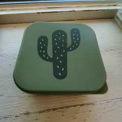 Brett Groen met een cactus voorop, som rapportert av DierenPark Amersfoort ved bruk av iLost