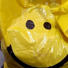 Taška, ako bolo nahlásené allGo Almere pomocou iLost