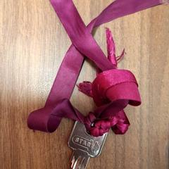 Sleutel, zoals gemeld door Qbuzz DMG met iLost