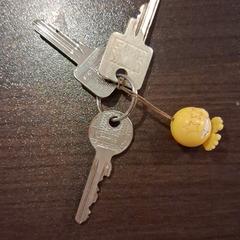 Sleutels, come riportato a iLost