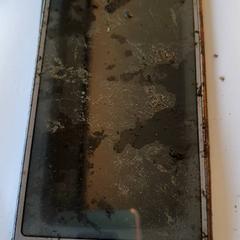 Telefoon, amint azt DierenPark Amersfoort az iLost segítségével jelentette.