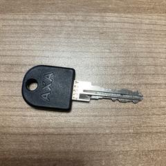 İLost kullanarak Pathé Zwolle tarafından bildirildiği gibi Fietssleutel