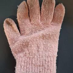 قفاز الأطفال Roze، كما تم الإبلاغ عنه بواسطة Burgers' Zoo عبر iLost