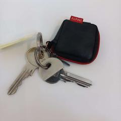 Schlüsselanhänger bos, gemeldet von Arriva Limburg Zuid über iLost