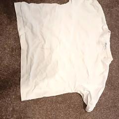 T-shirt shirt, rapporterat av Van der Valk Hotel Apeldoorn - De Cantharel med iLost