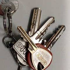 İLost kullanarak Centraal magazijn tarafından bildirildiği gibi Anahtarlar 5 sleutels