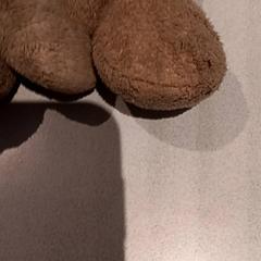 Knuffel, ako bolo nahlásené De Efteling pomocou iLost