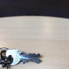 鍵 2 sleutels met 2 sleutelhangers がiLostで Gemeente Veenendaal によって報告されました