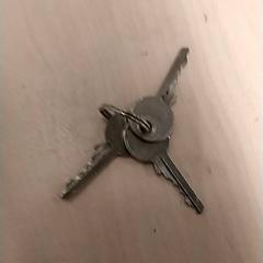 İLost kullanarak IKEA Zwolle tarafından bildirildiği gibi Anahtar 3x identiek, klein