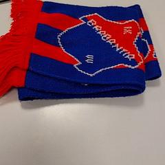 Schal, gemeldet von Vrije Universiteit Amsterdam über iLost