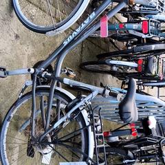 Dámsky bicykel Batavus, ako bolo nahlásené Stadswerk072 pomocou iLost