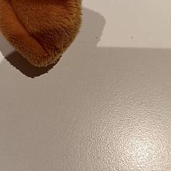 Knuffel, segons ha informat De Efteling mitjançant iLost