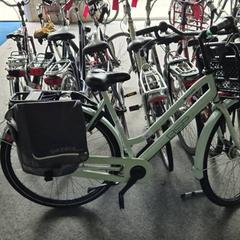 Kvinners sykkel, som rapportert av Gemeente Roermond ved bruk av iLost