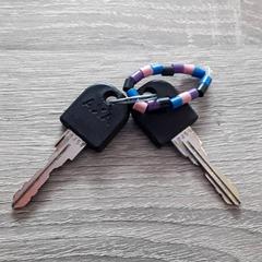 鍵 がiLostで EBS Tramplein によって報告されました