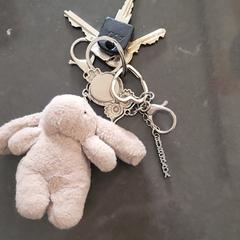 Sleutelbos, come riportato a iLost