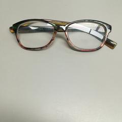 Bril, zgłoszono przez Burgers' Zoo przy użyciu iLost