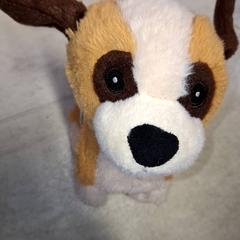 لعبة محبوبة، كما تم الإبلاغ عنه بواسطة Qbuzz DMG عبر iLost