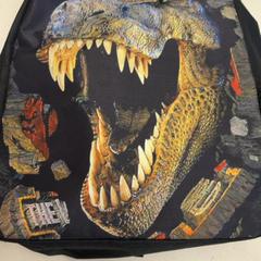 Kappe, som rapportert av GVB ved bruk av iLost