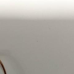 Sieraad Armband، كما تم الإبلاغ عنه بواسطة Centraal magazijn عبر iLost