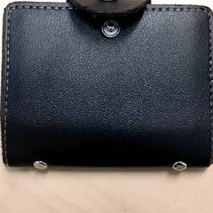 Titolare della carta, come riportato da RET utilizzando iLost