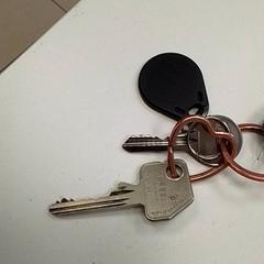 Key, as reported by ilévia using iLost