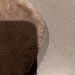 Cuddly slap, as reported by De Efteling using iLost