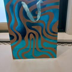 Borsa, come riportato da Arriva Limburg Zuid utilizzando iLost