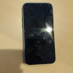Iphone grey, como reportado por Walibi Holland utilizando o iLost