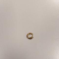 Ohrring, gemeldet von Vrije Universiteit Amsterdam über iLost