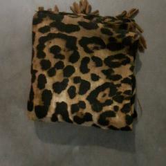 Sjal, rapporterat av Connexxion Hoeksche Waard Goeree Overflakkee med iLost