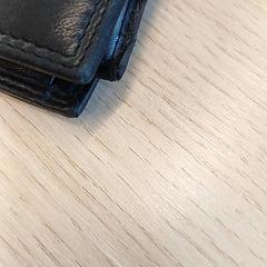 지갑(하위 카테고리) Lafforest, iLost를 사용하여 Gemeente Nijkerk에 보고됨