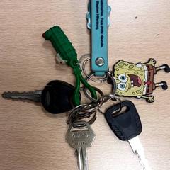 Nyckelring, rapporterat av Arriva Vechtdallijnen med iLost