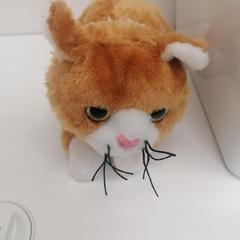 Plyšáček, ha sido reportado por IKEA Praha – Černý Most con iLost